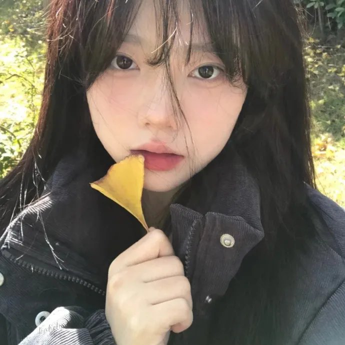 追鹰日记