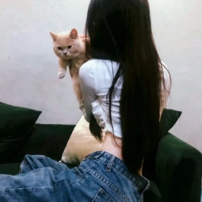 维斯珀